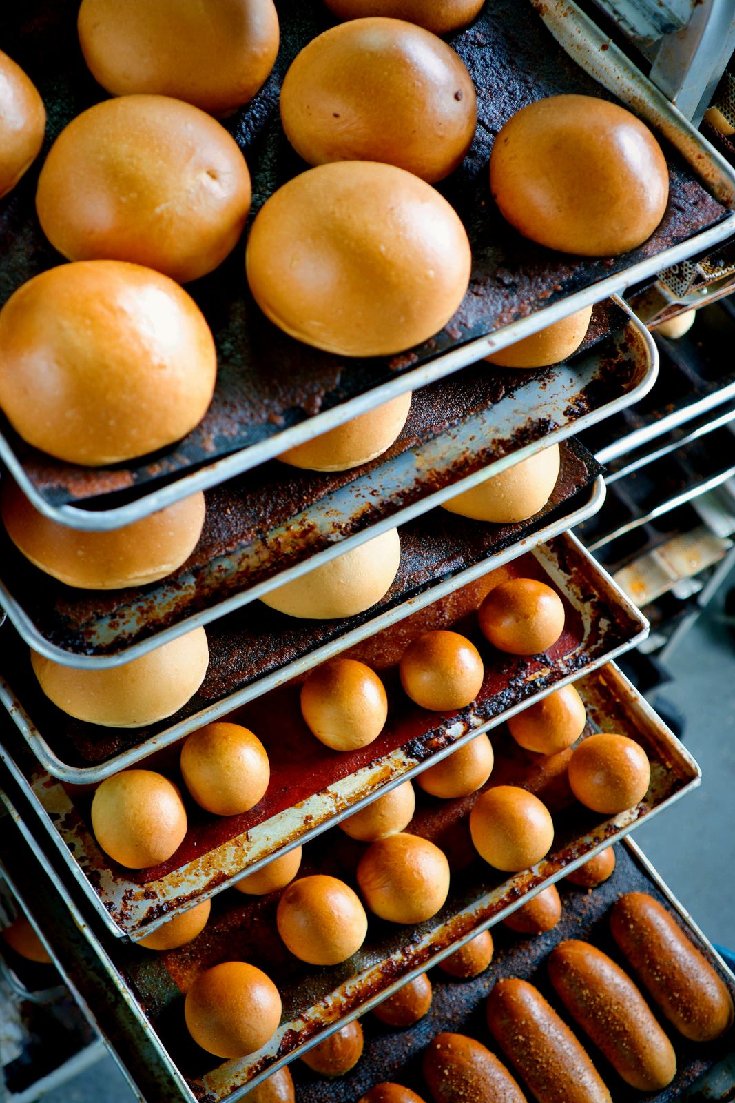 Bandejas de pan recién horneado en la fábrica de Home Buns
